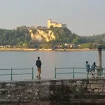 Prestige * Arona
